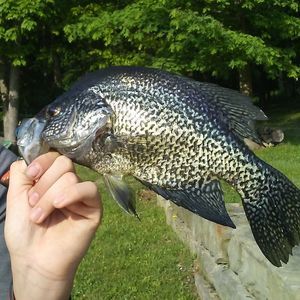 Meet your Posher, Derrick